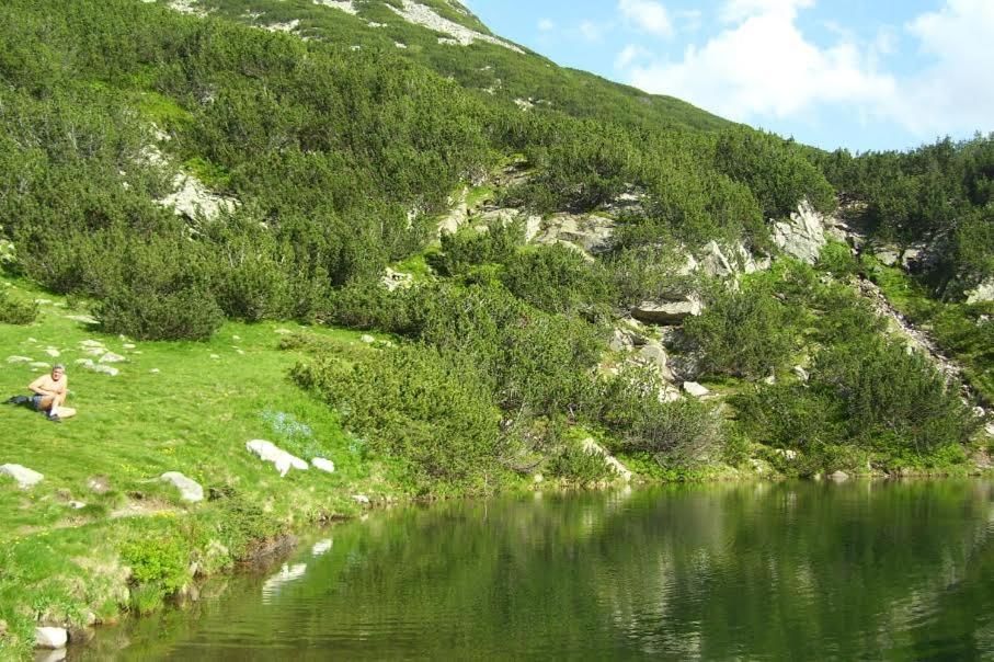 Апарт-отели Apartments Four Leaf Clover Bansko to rent Банско-44