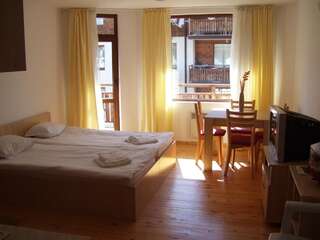 Апарт-отели Apartments Four Leaf Clover Bansko to rent Банско Номер-студио с видом на горы-2