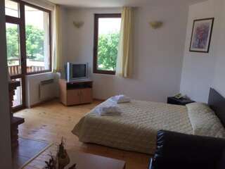 Апарт-отели Apartments Four Leaf Clover Bansko to rent Банско Номер-студио Делюкс с видом на горы-4
