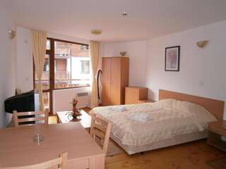 Апарт-отели Apartments Four Leaf Clover Bansko to rent Банско Номер-студио с видом на горы-4
