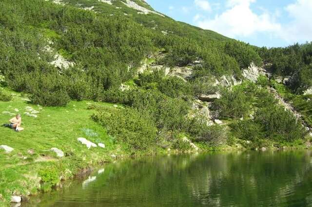 Апарт-отели Apartments Four Leaf Clover Bansko to rent Банско-43